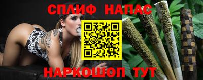 стаф Кингисепп